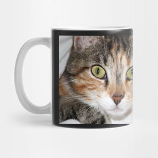 Calico Cat Face, Gifts Cat Lovers Mug